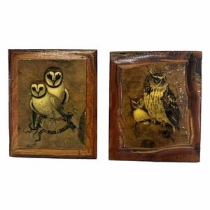 Vintage‎ Set Of 2 Richard Hinger Screech Vintage Owl Wood Framed Print Wall Art